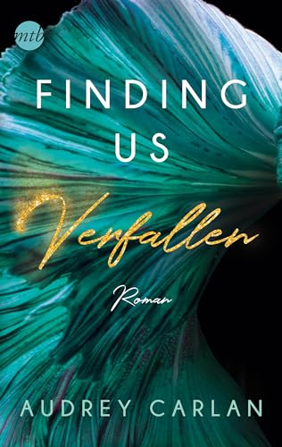 Finding us - Verfallen: Roman